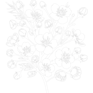 Libro Floral de Acuarela Digital